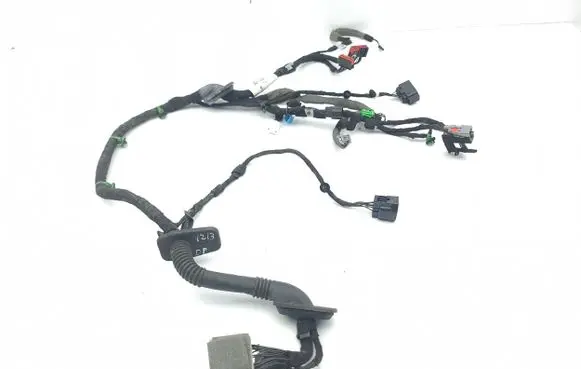 Front door wiring loom
