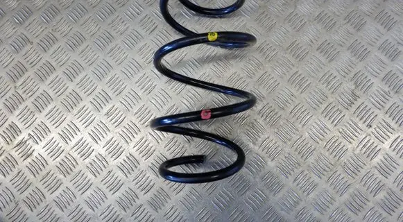Lexus UX Front coil spring 4813176100