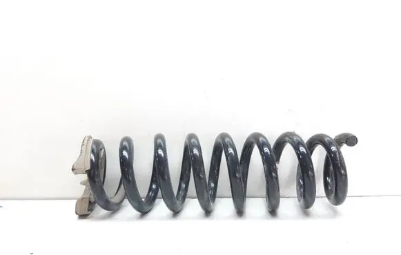 Rear coil spring