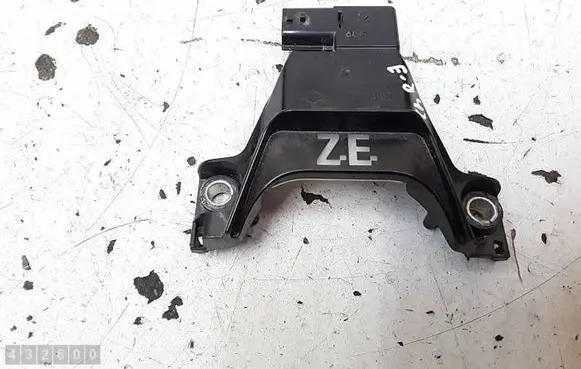 Renault Zoe Other control units/modules 295142799R