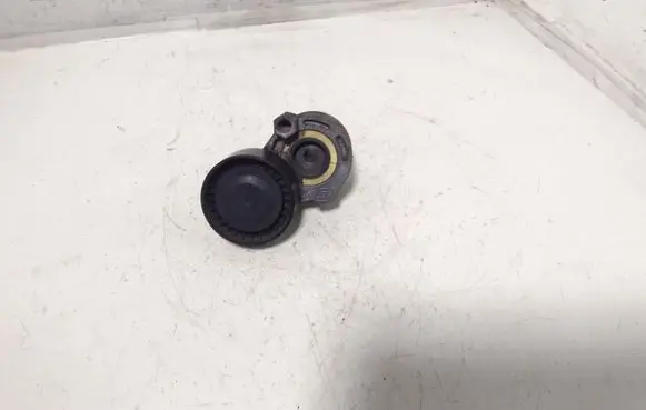 Nissan Qashqai Alternator belt tensioner 17503662R