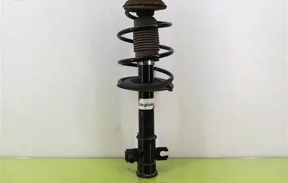 Front shock absorber with coil spring