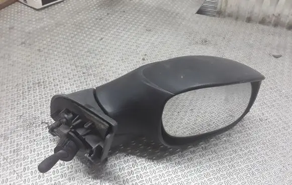 Citroen C3 Manual wing mirror E2011019