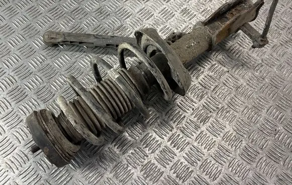 Opel Insignia A Front shock absorber with coil spring