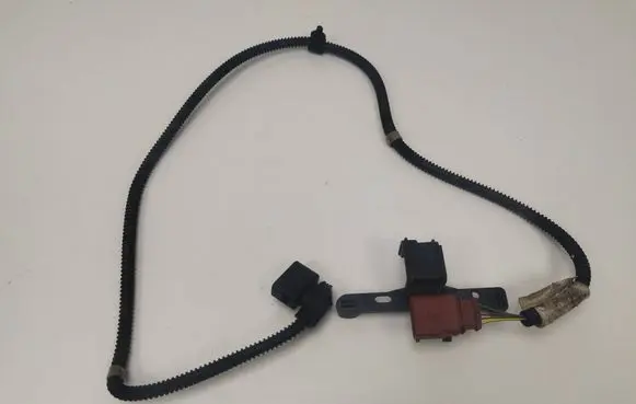Other wiring loom
