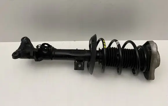Mercedes-Benz CLS C218 X218 Front shock absorber with coil spring A2183209113