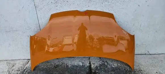 Fiat Panda III Engine bonnet/hood 