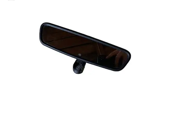 BMW X5 E70 Rear view mirror (interior) 9192335