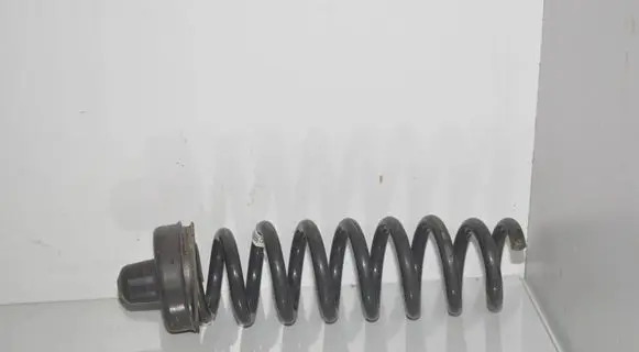BMW 3 GT F34 Rear coil spring 6851729 33536851729