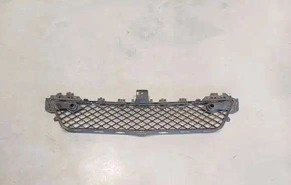 Mercedes-Benz C AMG W204 Front bumper lower grill A2048851324