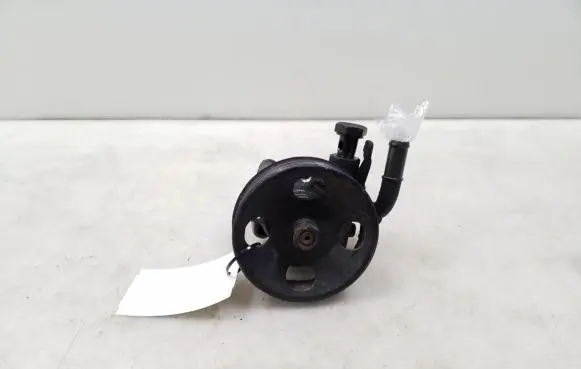 Hyundai Accent Power steering pump 710025300