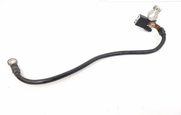 Mercedes-Benz E C207 W207 Negative earth cable (battery) A1665420418