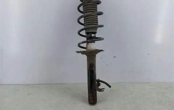 Peugeot 107 Front shock absorber with coil spring 