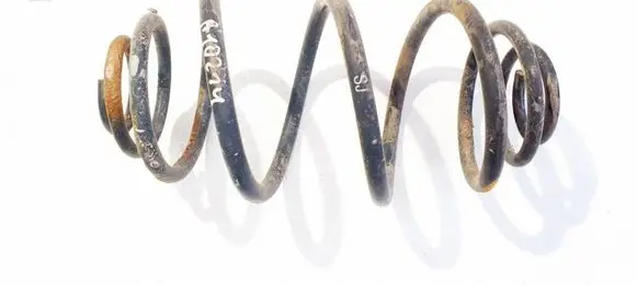 Rear coil spring
