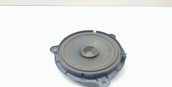 Rear door speaker