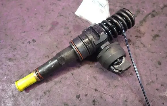 Volkswagen PASSAT B5.5 Fuel injector 