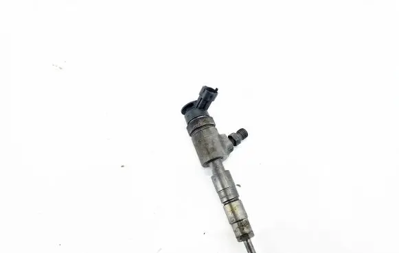 Citroen C4 Grand Picasso Fuel injector 0445110799