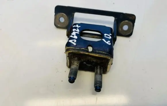 Tailgate/trunk/boot hinge