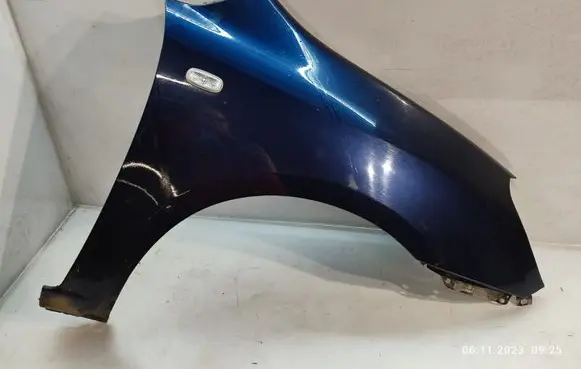 KIA Carens II Fender
