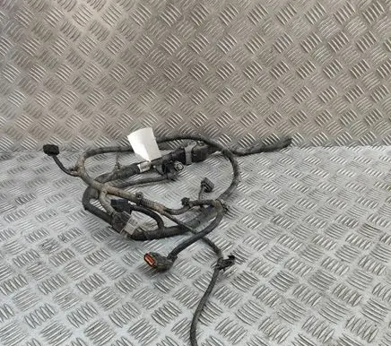 Hyundai Santa Fe Parking sensor (PDC) wiring loom 918802W154