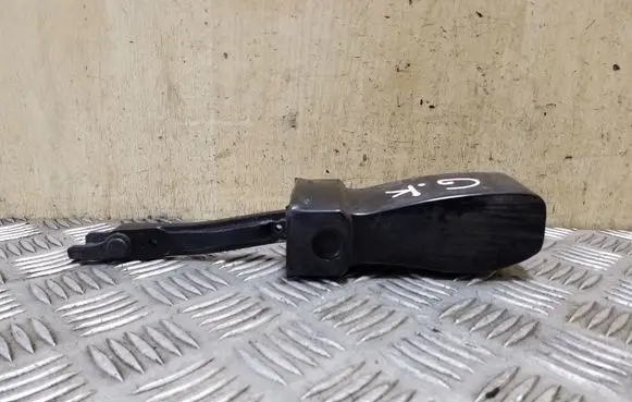 Skoda Yeti (5L) Rear door check strap stopper 5L0839249