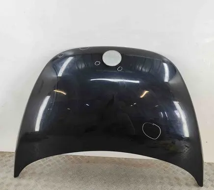 Volkswagen New Beetle Engine bonnet/hood 1C0823031M