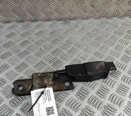 Audi Q7 4L Rear door lock loop/hook striker 4F9827383B