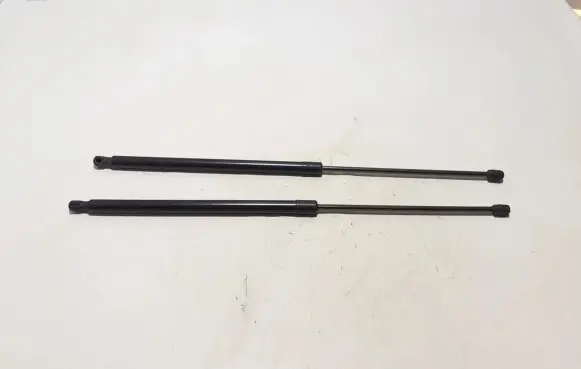 Tailgate strut