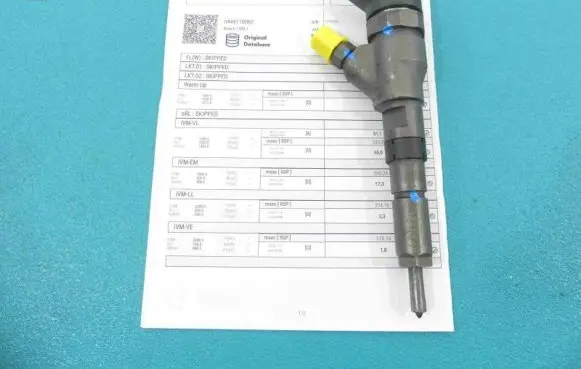 Citroen Berlingo Fuel injector 0445110062 IMPRK1248568