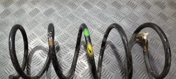 Peugeot 607 Front coil spring