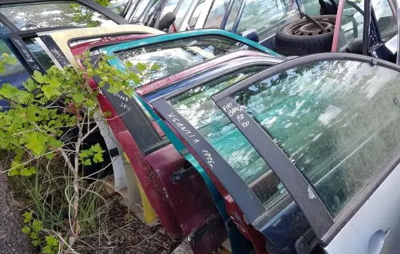 Ford Fiesta Front door