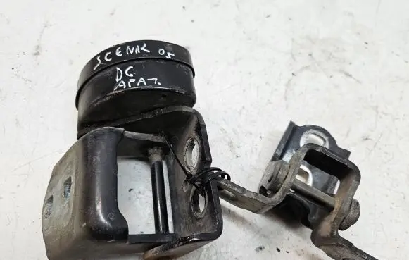 Renault Scenic II - Grand scenic II Rear door hinge set 