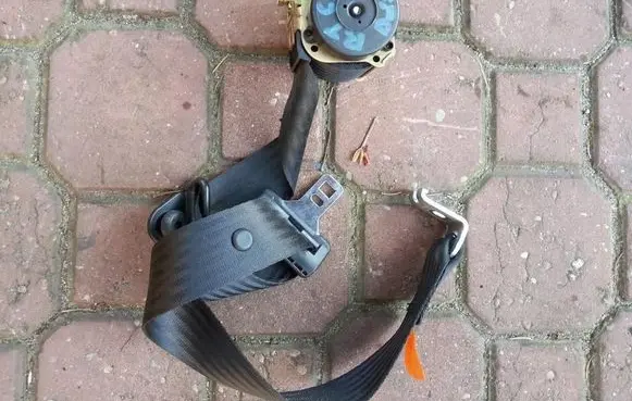 Ford Focus C-MAX Rear seatbelt