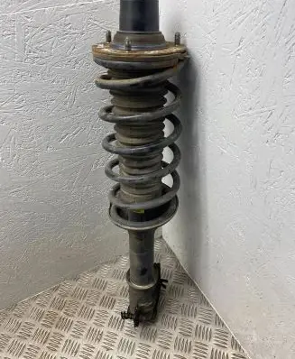 Land Rover Freelander Rear shock absorber with coil spring 