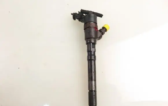 Hyundai Santa Fe Fuel injector 3380027000 0445110064