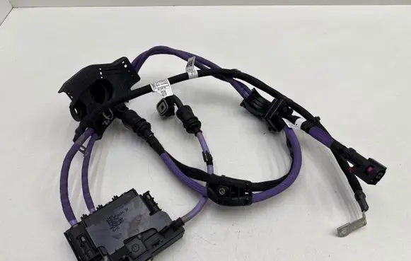 BMW 2 G42 Positive wiring loom 8796261 61942110