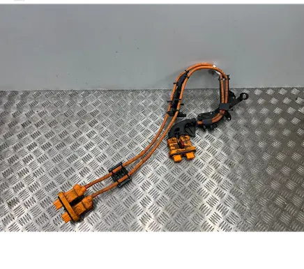 Other wiring loom