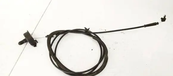 Renault Scenic I Other body part