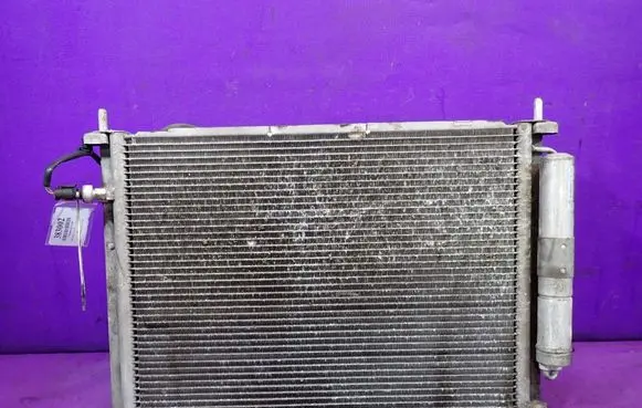 Renault Clio III Coolant radiator 