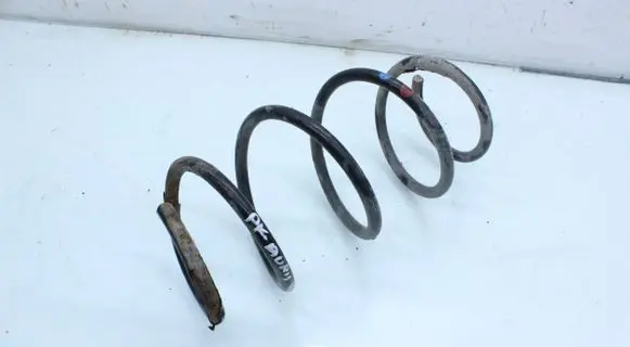 Front coil spring