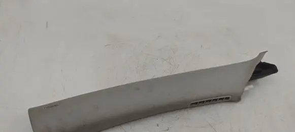 (A) pillar trim