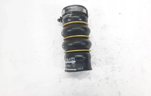Citroen C3 Intake resonator 9685319980