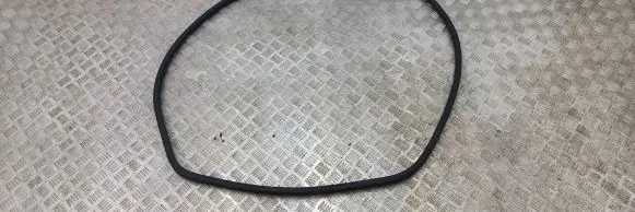Nissan Leaf II (ZE1) Rear door rubber seal (on body) 