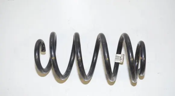 Rear coil spring