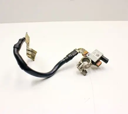 Positive wiring loom