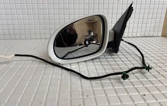 Volkswagen Golf VI Front door electric wing mirror E1010836
