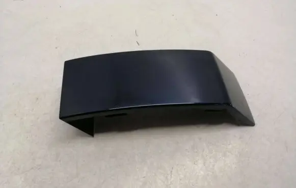Rear/tail light trim molding