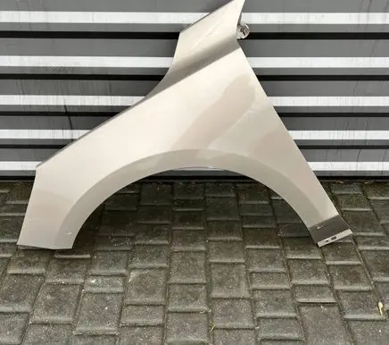 Ford Focus Fender
