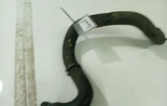 Lancia Musa Engine coolant pipe/hose 