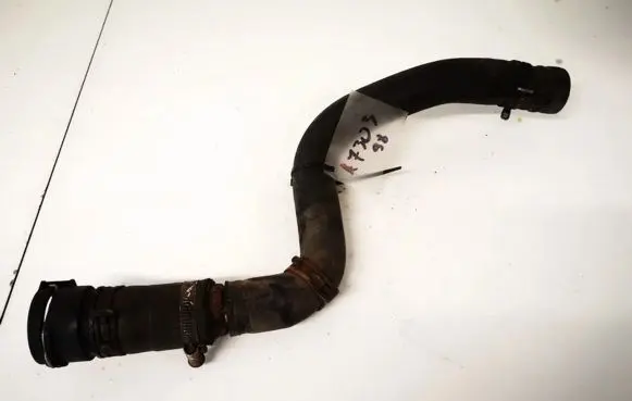 Ford Fiesta Engine coolant pipe/hose